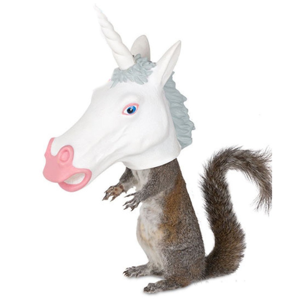 Unicorn Head Squirrel Feader