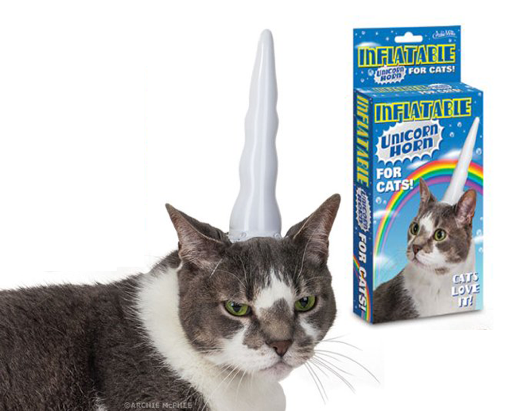 Cat's Unicorn Horn