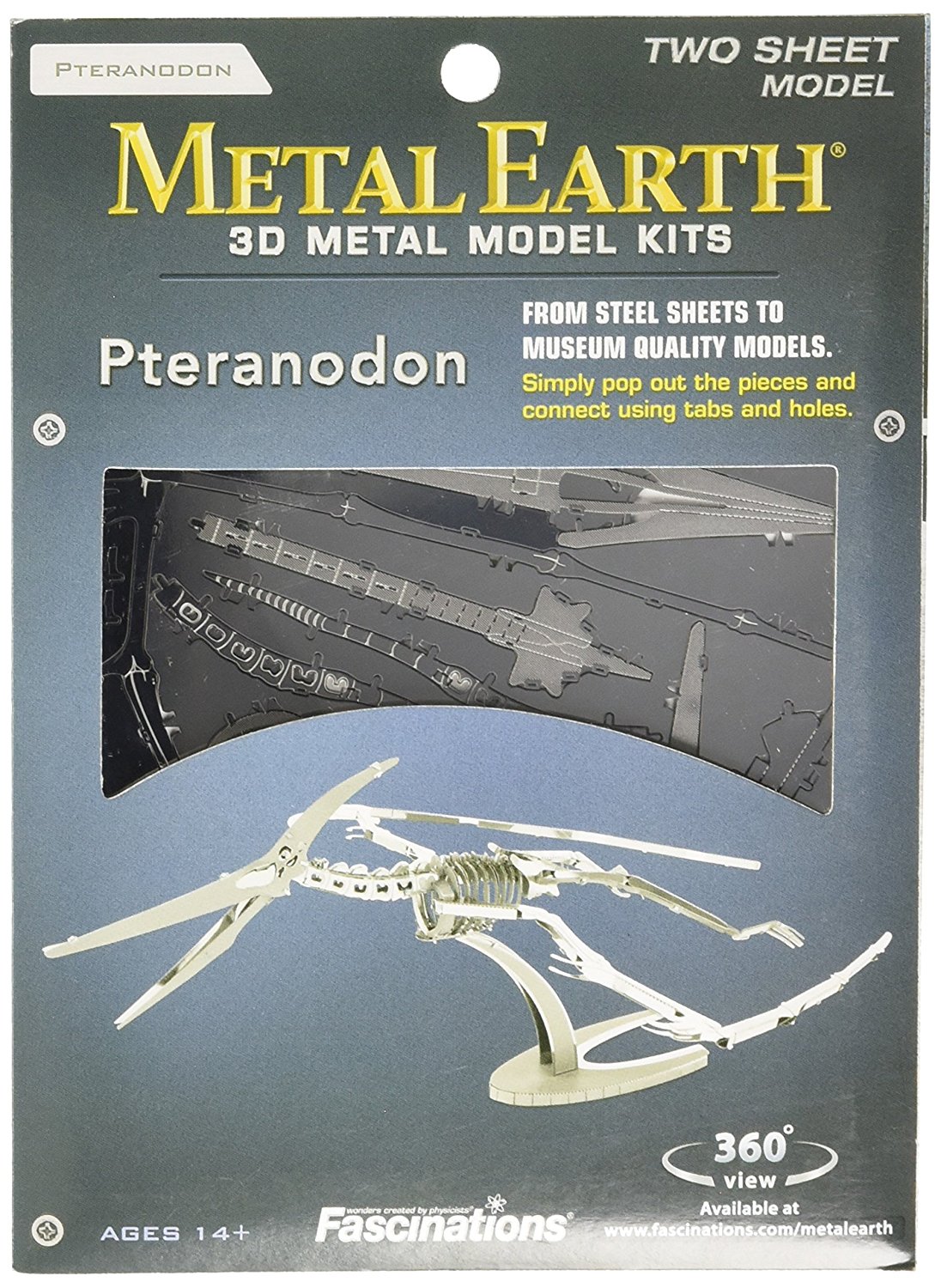 Metal Pteranodon Model Kit