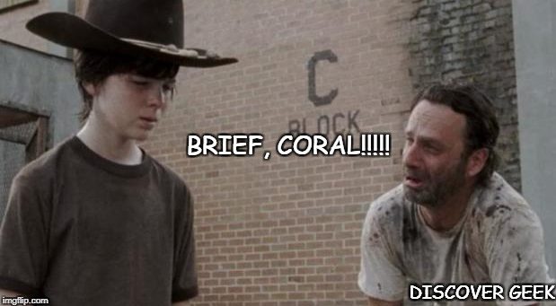 Rick Grimes meme Carl The Walking Dead